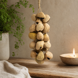 Medium Pangi Seed Shell - Natural Nut Shaker (30 Shells) — styled in a warm, naturally lit interior