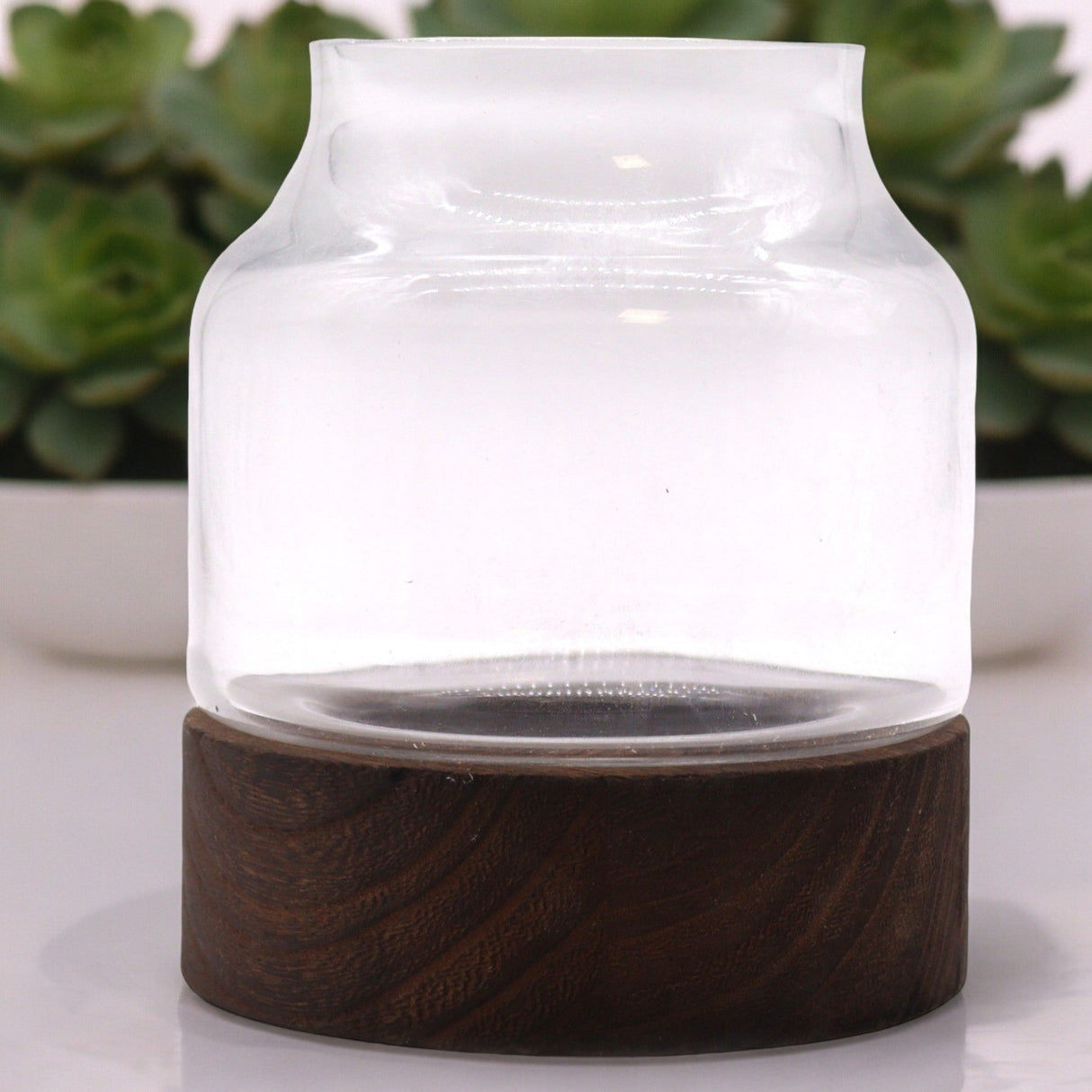 Medium Shaped Terarium on Dark Tung Wood - SHAMTAM.COM