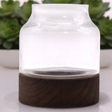 Medium Shaped Terarium on Dark Tung Wood - SHAMTAM.COM