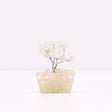 Rock Quartz Tree On Orgonite Base - 15 Gemstones - SHAMTAM.COM