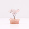 Rose Quartz Tree On Orgonite Base - 15 Gemstones - SHAMTAM.COM