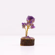 Amethyst Tree On Wood Base - 15 Gemstones - SHAMTAM.COM