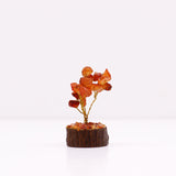 CarnelianTree On Wood Base - 15 Gemstones - SHAMTAM.COM