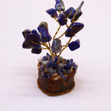 Sodalite Tree On Wood Base - 15 Gemstones - SHAMTAM.COM