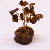 Tigers Eye Tree On Wood Base - 15 Gemstones - SHAMTAM.COM