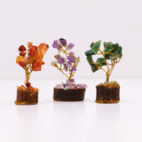 Mini Gemstone Trees Box of 12 Assorted - SHAMTAM.COM