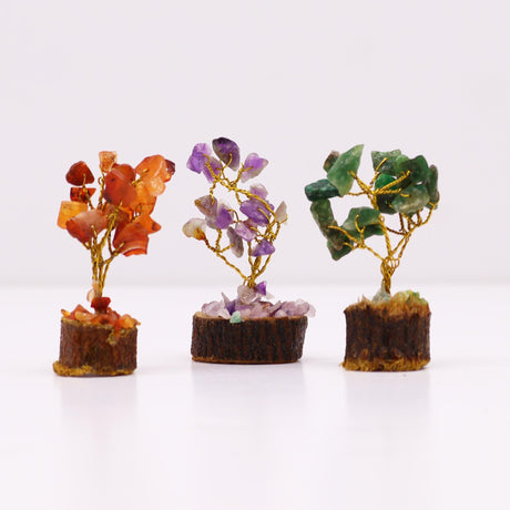 Mini Gemstone Trees Box of 12 Assorted - SHAMTAM.COM