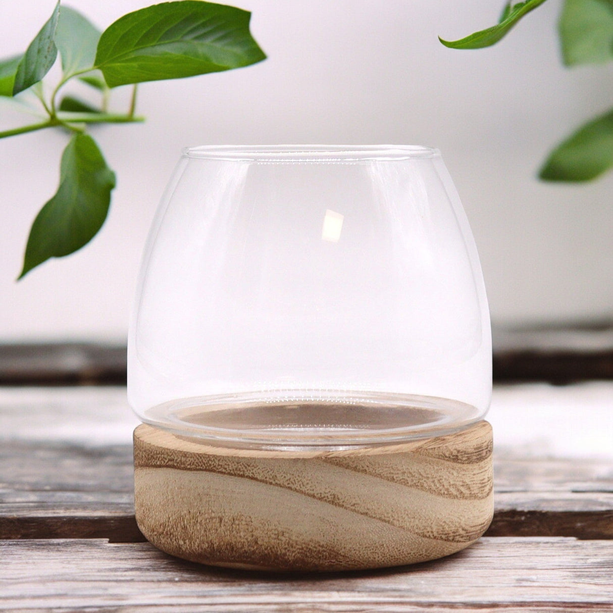 Mini Terarium on Natural Tung Wood - SHAMTAM.COM