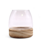 Mini Terarium on Natural Tung Wood - SHAMTAM.COM