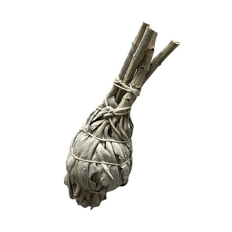 Bundled sage sticks tied together on a white background