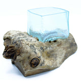 Glass Bowl on Driftwood Molten Glass - SHAMTAM.COM