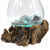 Glass Bowl on Driftwood with Stand Molten Glass - SHAMTAM.COM