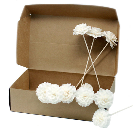 Natural Diffuser Flowers - Carnation on Reed - SHAMTAM.COM