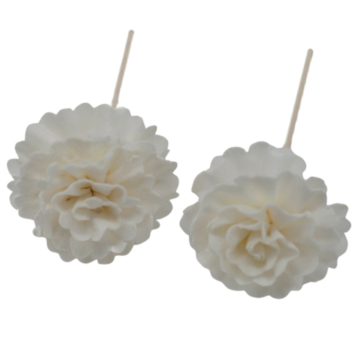 Natural Diffuser Flowers - Carnation on Reed - SHAMTAM.COM