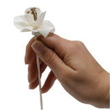 Natural Diffuser Flowers - Lily on Reed - SHAMTAM.COM