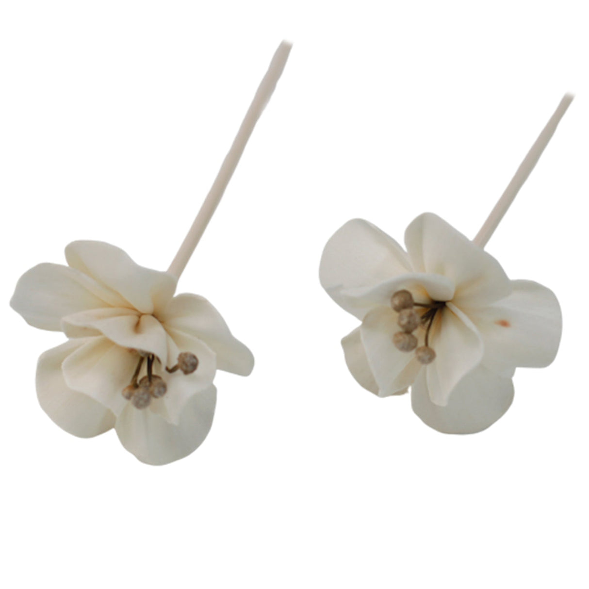 Natural Diffuser Flowers - Lily on Reed - SHAMTAM.COM