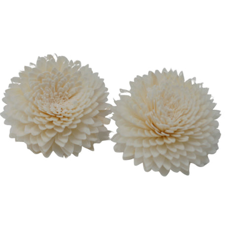 Natural Diffuser Flowers - Lrg Carnation on String - SHAMTAM.COM