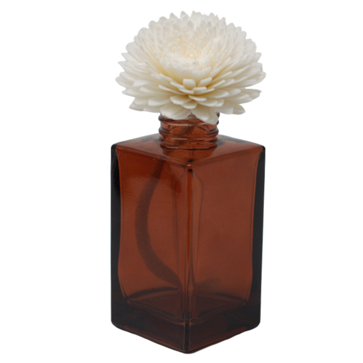 Natural Diffuser Flowers - Lrg Carnation on String - SHAMTAM.COM