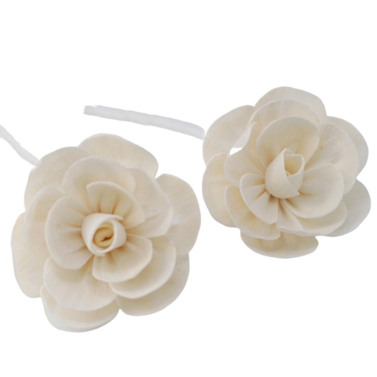 Natural Diffuser Flowers - Lrg Lotus on String - SHAMTAM.COM