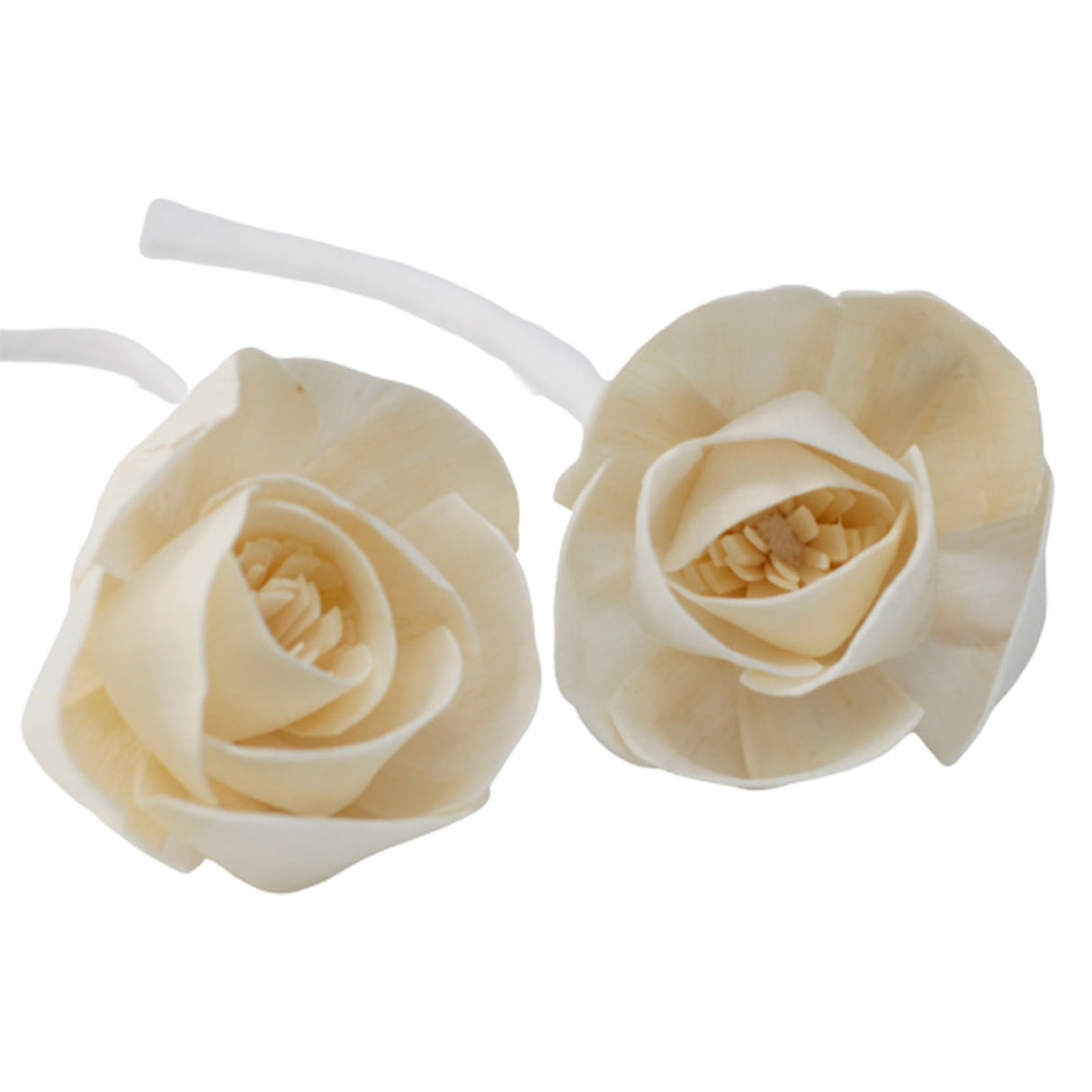 Natural Diffuser Flowers - Lrg Rose on String - SHAMTAM.COM