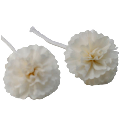 Natural Diffuser Flowers - Med Carnation on String - SHAMTAM.COM