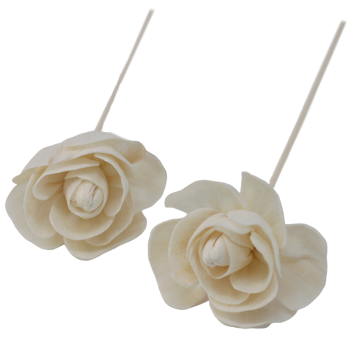 Natural Diffuser Flowers - Rose on Reed - SHAMTAM.COM