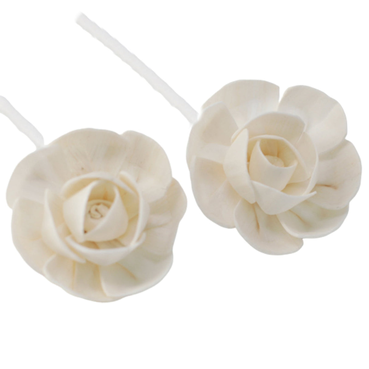 Natural Diffuser Flowers - Small Lotus on String - SHAMTAM.COM