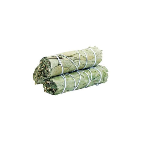 Natural Eucalyptus Sage Smudge Stick - 10cm Aromatic Cleansing Bundle - SHAMTAM.COM