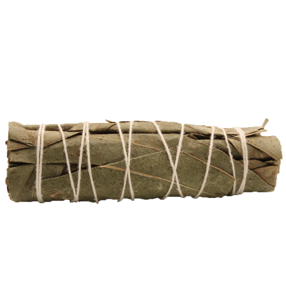 Natural Eucalyptus Sage Smudge Stick - 10cm Aromatic Cleansing Bundle - SHAMTAM.COM