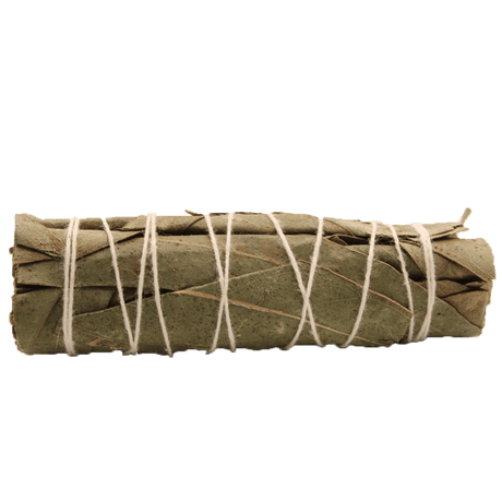 Natural Eucalyptus Sage Smudge Stick - 10cm Aromatic Cleansing Bundle - SHAMTAM.COM