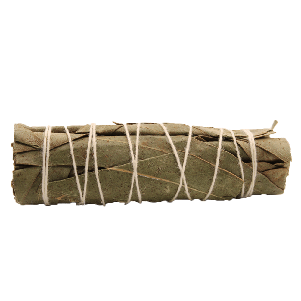 Natural Eucalyptus Sage Smudge Stick - 10cm Aromatic Cleansing Bundle - SHAMTAM.COM