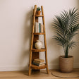 Wooden ladder shelf with books and a vase against a beige wall with a plant.