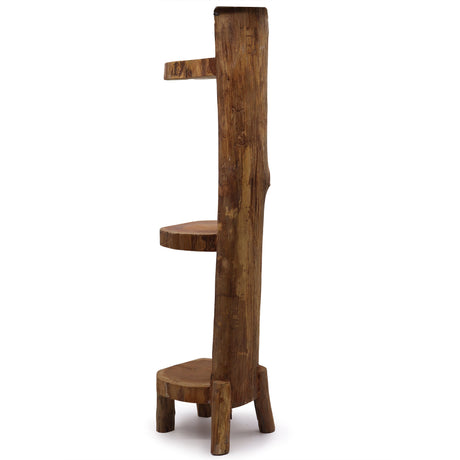 Tree Shelf Natural Teak Log Shelve Display 3 Shelves 100cm high - SHAMTAM.COM