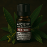 Niaouli Essential Oil 10 ml - SHAMTAM.COM