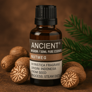 Nutmeg Essential Oil 50ml Steam Distilled