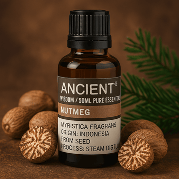 Nutmeg Essential Oil 50ml Steam Distilled