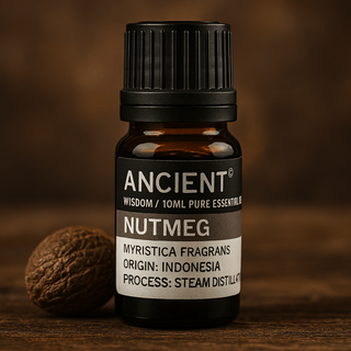Nutmeg Essential Oil Steam Distilled 10 ml