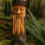 Old Man Tree Decor 50x13x6cm - SHAMTAM.COM