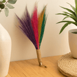 Pampas Grass Broom Set of 4 Rainbow Colours - SHAMTAM.COM