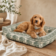 PAW Bed – Lucky Elephant – Green – 60 × 50 × 14 cm — styled in a warm, naturally lit interior