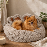 PAW Bed – Medium Big Paw – 60cm — styled in a warm, naturally lit interior