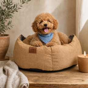 Paw Bed – Medium Royal Crown – Sand & Grey – 50 × 50 × 26 cm — styled in a warm, naturally lit interior