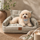 PAW Bed – Medium Sofa – Brown Stripes – 60 × 60 × 28 cm — styled in a warm, naturally lit interior
