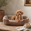 PAW Bed – Small Plush Teddy Brown – 60 × 45 × 17 cm — styled in a warm, naturally lit interior