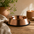 PAW Food Bowls - Single Copper Style - 22cm - Stainless Steel (304) — styled in a warm, naturally lit interior