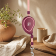 Paw Pet Leash - Mini Mango - Plum - 3m — styled in a warm, naturally lit interior