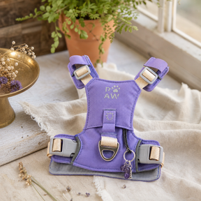 PAW - XS (2-4Kg) Dog Step-in Guardian Harness with Reflective Mesh - Lavender - Amethyst Charm — styled in a warm, naturally lit interior