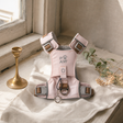 PAW - XS (2-4Kg) Dog Step-in Guardian Harness with Reflective Mesh - Soft Pink - Rose Quartz Charm — styled in a warm, naturally lit interior