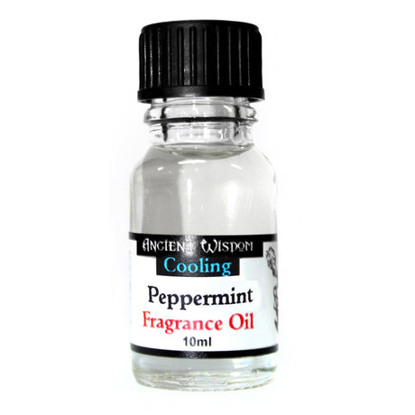 Peppermint Fragrance Oil 10ml - SHAMTAM.COM