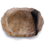 Petrified Wood Black Soap Dish - SHAMTAM.COM